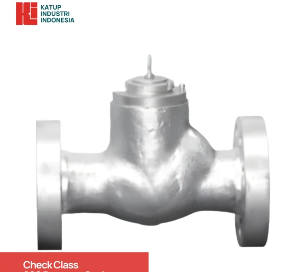 Check Class 900 Pressure Seal