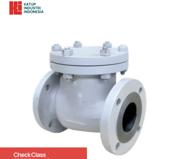Check Class 2500 Bolted Cover