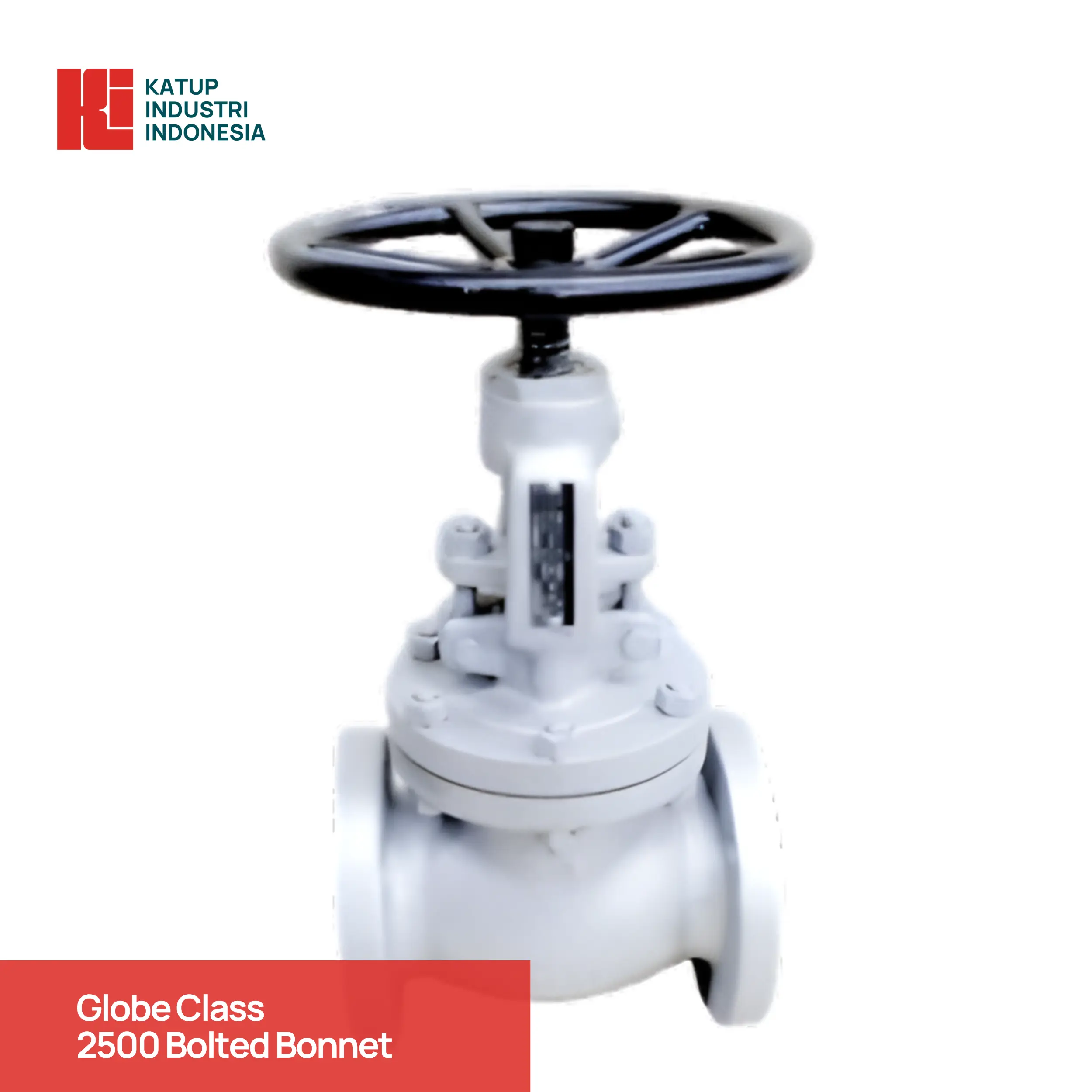 Globe Class 2500 Bolted Bonnet