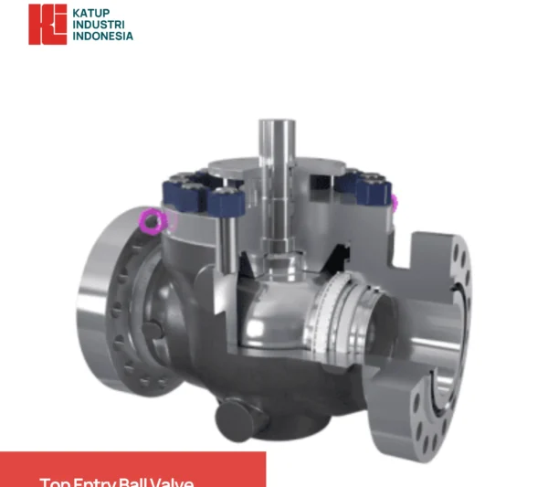 Top Entry Ball Valve
